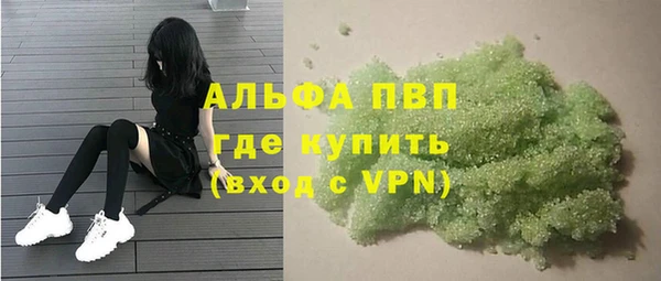 шишки Верхний Тагил