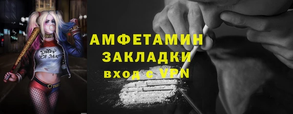 крисы Верея