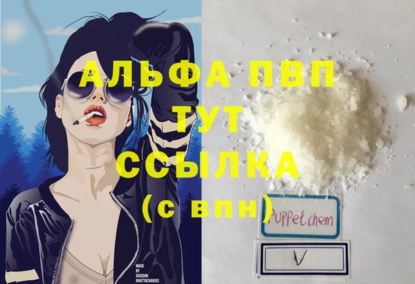шишки Верхний Тагил