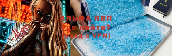 шишки Верхний Тагил