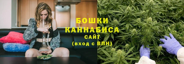 крисы Верея