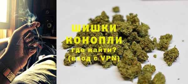 крисы Верея