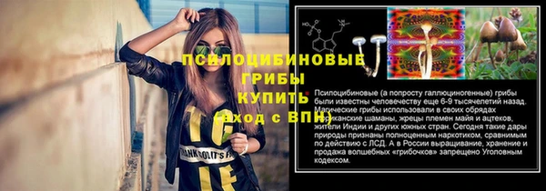 таблы Каменногорск