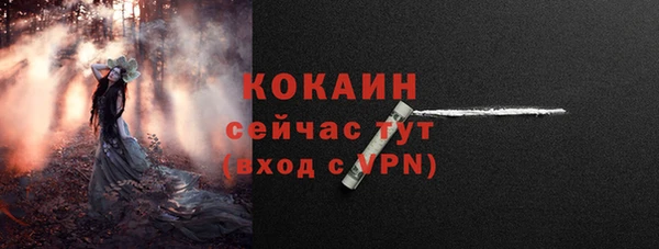 крисы Верея